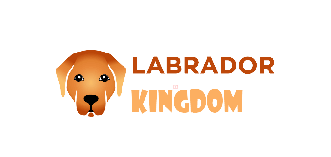 labrador kingdom